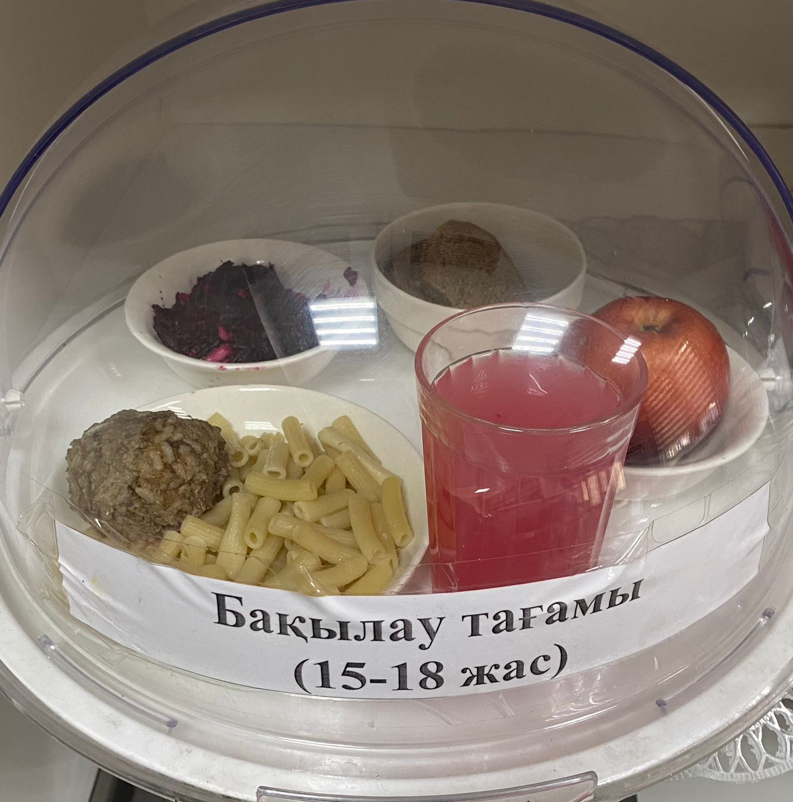 Ас мәзірі 2 апта 5 күн, 13.12.2024 жыл